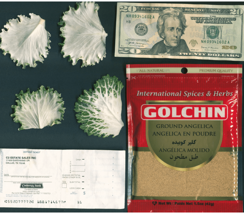 Teaching Mission message. Sifting and sorting by Karistus, Protoi Alliance and the Red Kachina