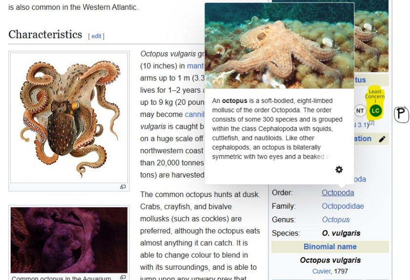 House Rules has been updated regarding Cephalopods.